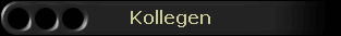 Kollegen